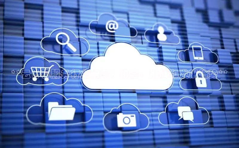 杏鑫彩票官网app雷柏科技**云计算服务行业洞察：机会、挑战和发展趋势**