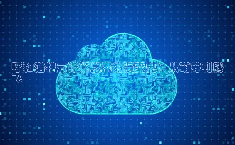 杏鑫彩票官网登录携程呼和浩特云计算发展的演变史：从萌芽到腾
飞