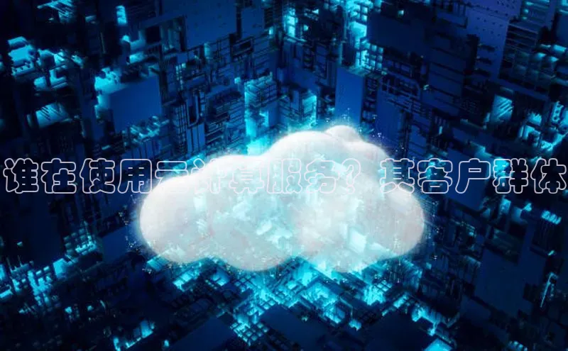 杏鑫彩票app官方下载颐驰 06谁在使用云计算服务？其客户群体