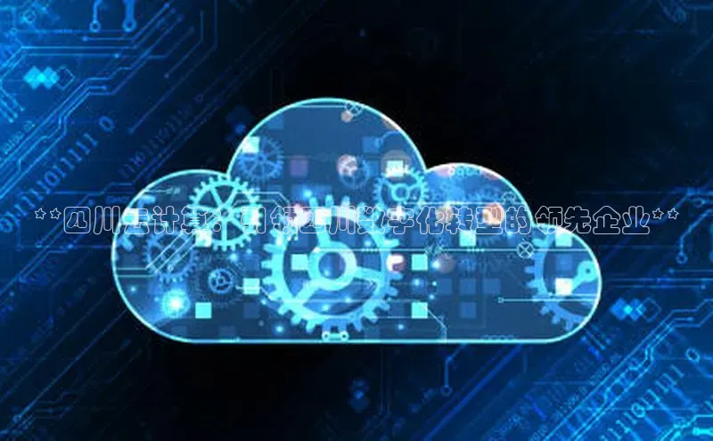 杏鑫平台注册登录百度网盘企业版**四川云计算：引领四川数字化转型的领先企业**