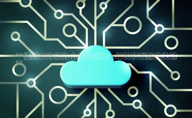 杏鑫平台登录地址极氪智能科技**使用云计算为小企业赋能：增长和创新的关键
**