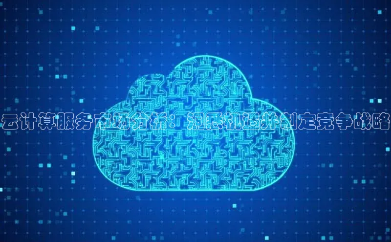 杏鑫彩票官网app雷柏科技云计算服务市场分析：洞悉机遇并制定竞争战略