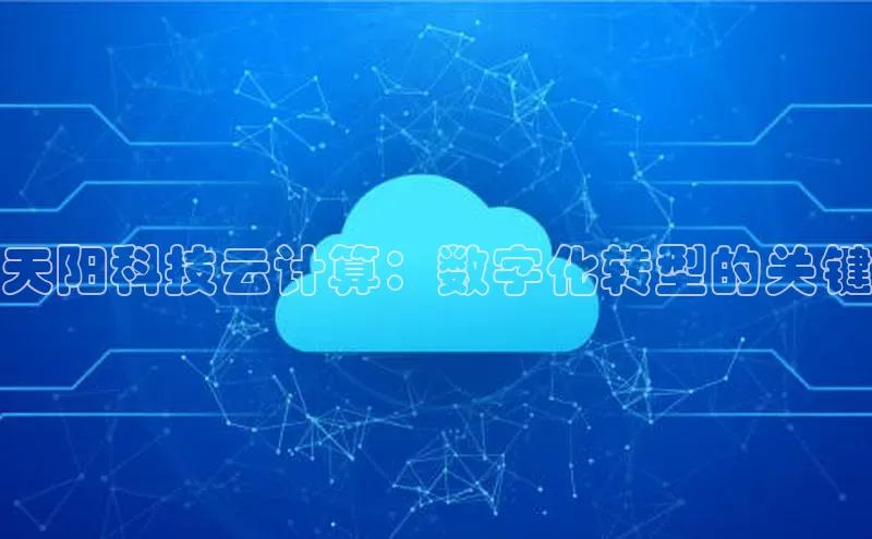 杏鑫平台开户百度搜索资源平台天阳科技云计算：数字化转型的关键