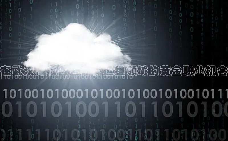 杏鑫彩票app官方下载路畅科技在武汉，抢占云计算运维领域的黄金职业机会