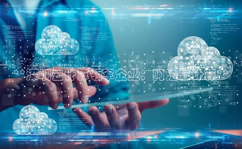 杏鑫彩票app官方下载百度取证**深圳云计算领军企业：阿法云计算**