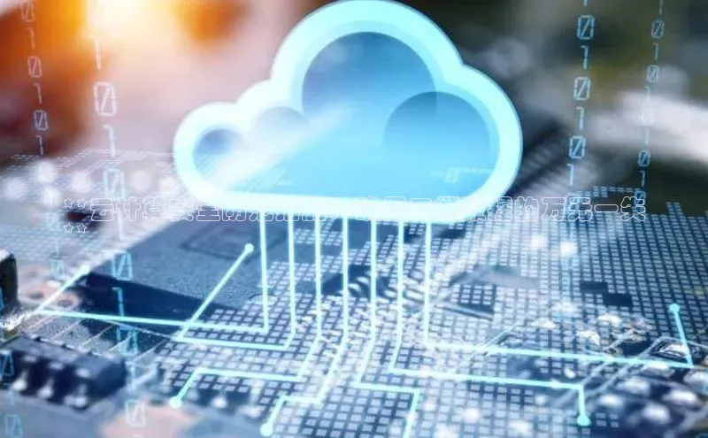 杏鑫平台开户百度搜索资源平台**云计算安全防范措施：确保云端数据的万无一失
**