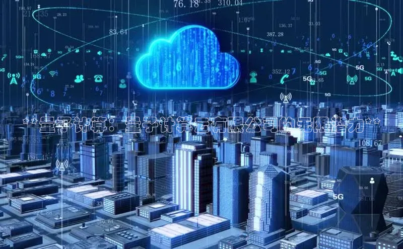 杏鑫平台线路测速赛富乐斯**量子计算：量子计算云有限公司的无限潜力**