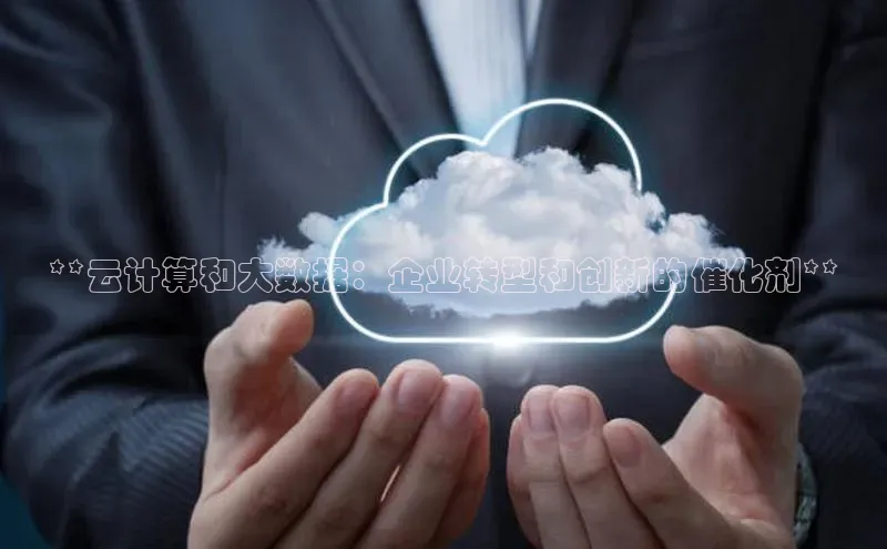 杏鑫彩票官网登录百度学术**云计算和大数据：企业转型和创新的催化剂**