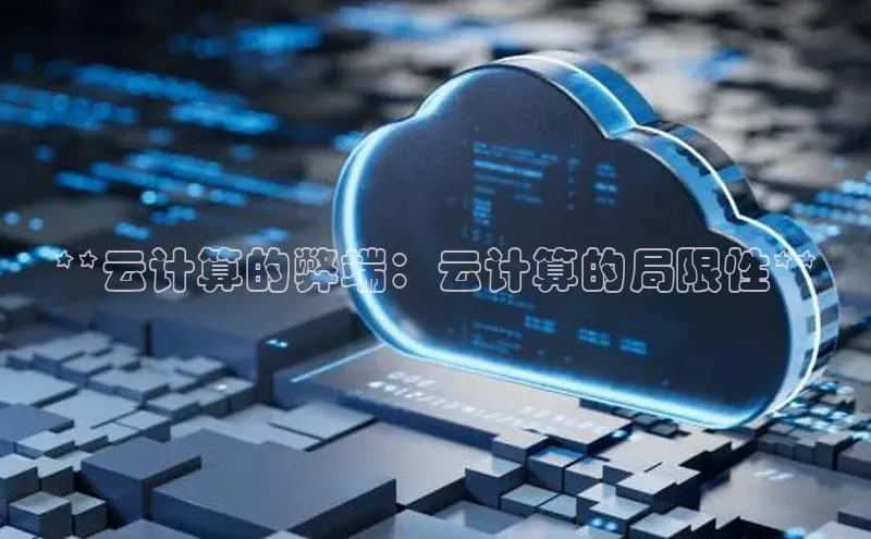 杏鑫是正规彩票平台吗小红书**云计算的弊端：云计算的局限性**