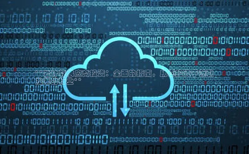杏鑫是正规彩票平台吗百度翻译**云计算供应商投资：全面的指南，助您投资于蓬勃
发展的行业**
