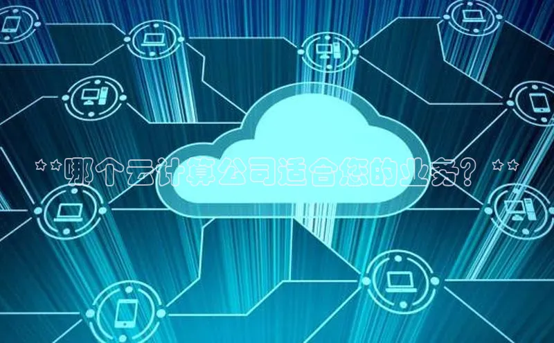 杏鑫注册地址百度智能门户**哪个云计算公司适合您的业务？**