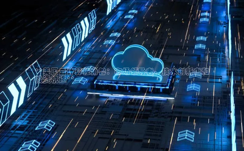 杏鑫彩票app官方下载百度取证**美国云计算独角兽：市场领导者、技术创新者和
投资机遇**