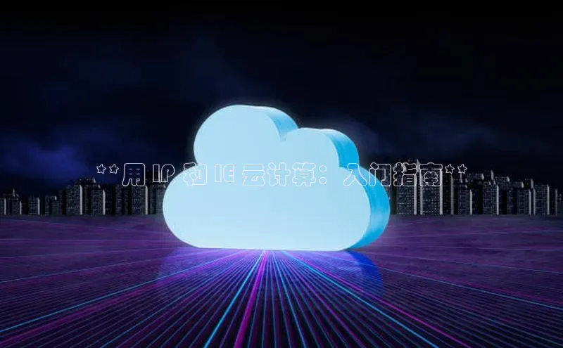 杏鑫平台线路测速赛富乐斯**用 IP 和 IE 云计算：入门指南**