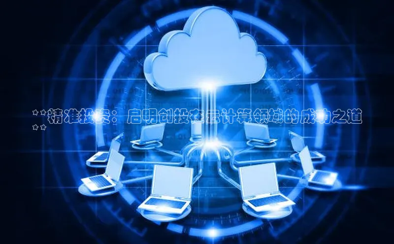 杏鑫彩票官网登录携程**精准投资：启明创投在云计算领域的成功之道
**
