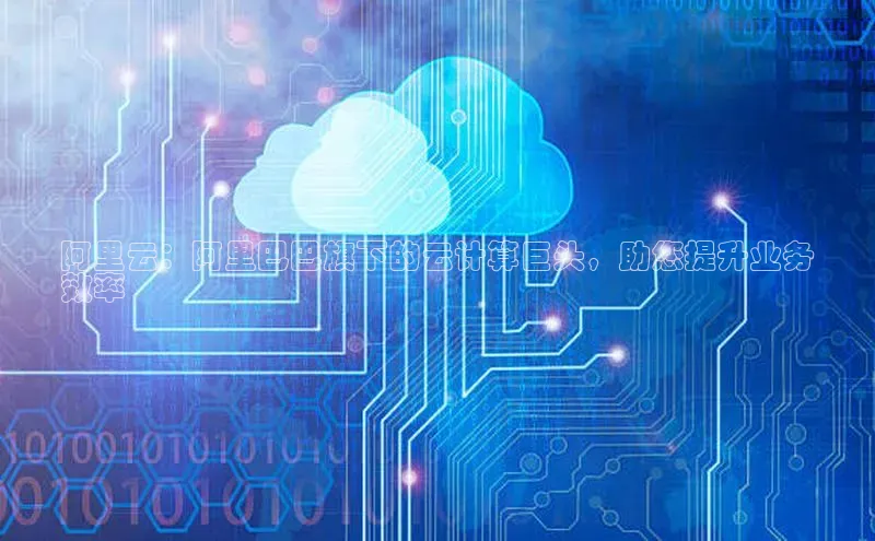 杏鑫彩票官网登录京东阿里云：阿里巴巴旗下的云计算巨头，助您提升业务
效率