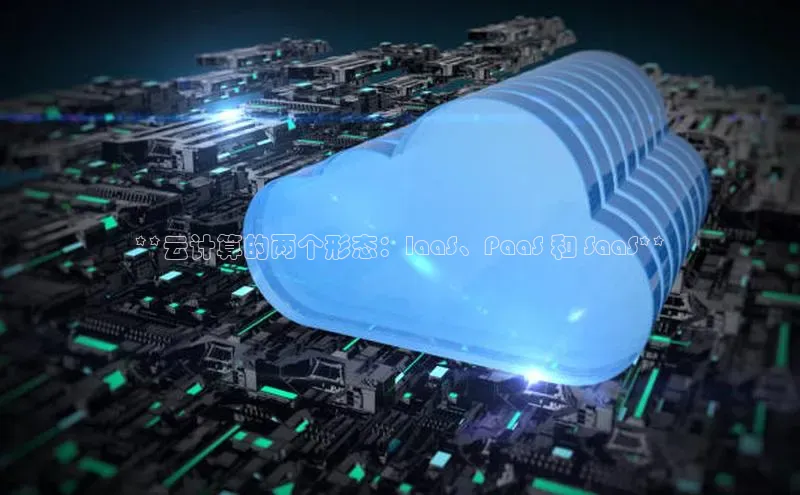 杏鑫注册登录代理巴美列捷福**云计算的两个形态：IaaS、PaaS 和 SaaS**
