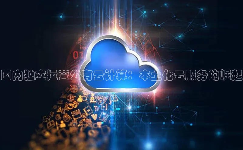 杏鑫平台开户58同城国内独立运营公有云计算：本土化云服务的崛起